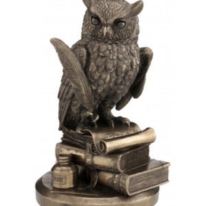 Obří moudrá sova na knihách